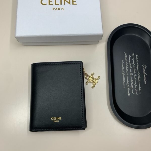 T543 CELINE